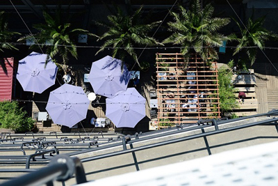 400HIG Urban Jungle LR 3