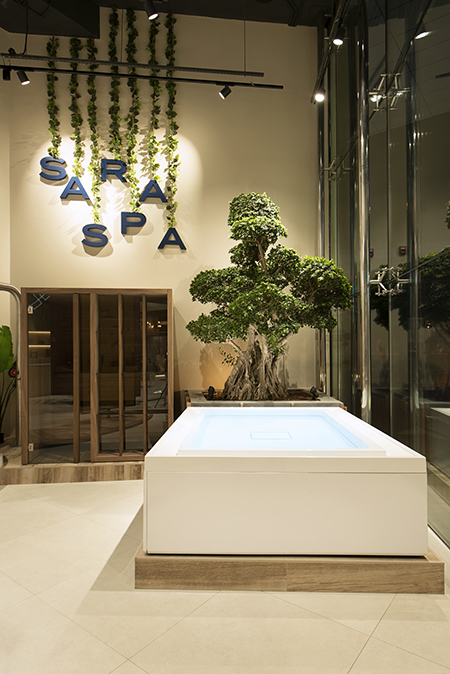 450ansorg45 HDR SARA INTERIOR